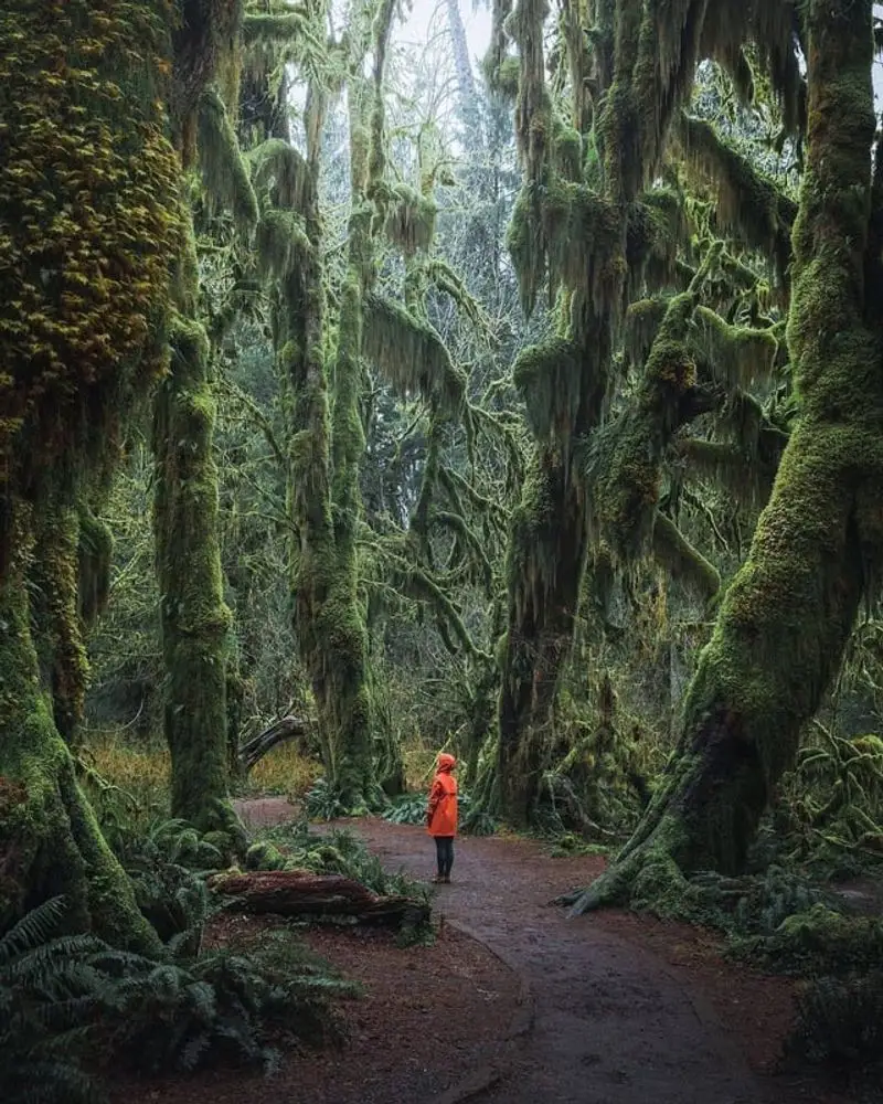 Olympic National Park, Washington