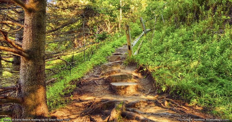 Great Head Trail