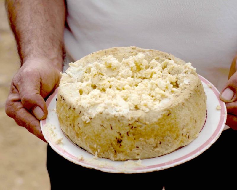 Casu Marzu (Sardinia, Italy)