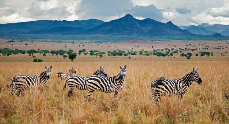 Kidepo Valley National Park, Uganda