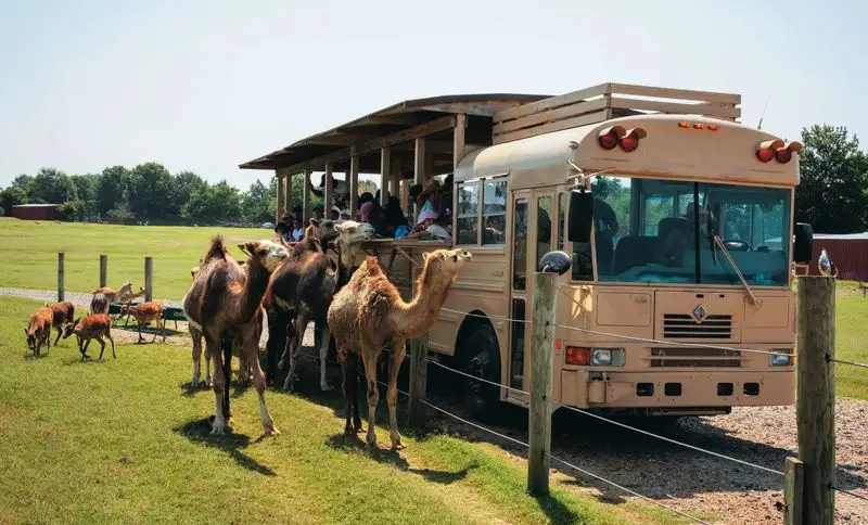 Tennessee Safari Park