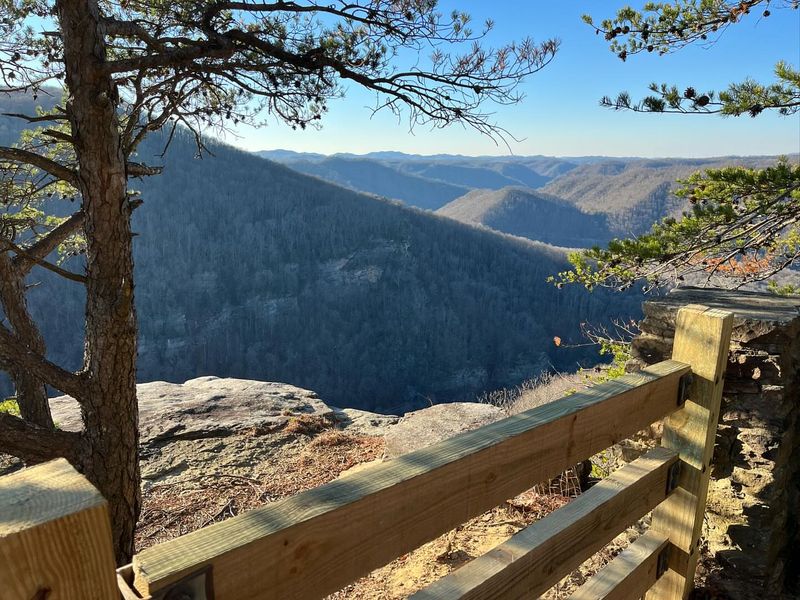Wildlife Watching—Binoculars Optional