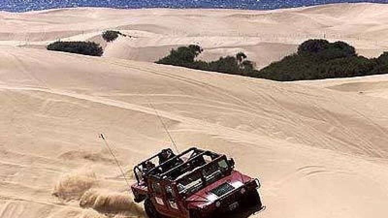 Thrilling Dune Adventures