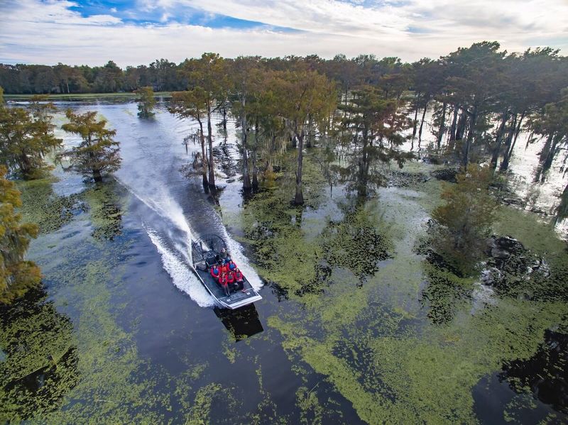 McGee's Swamp & Airboat Tours (Henderson)