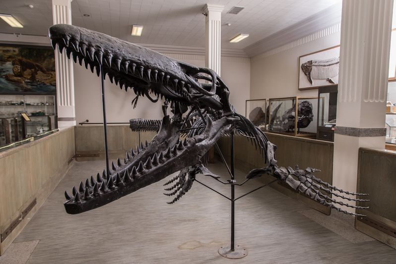 Museum of Geology – Rapid City