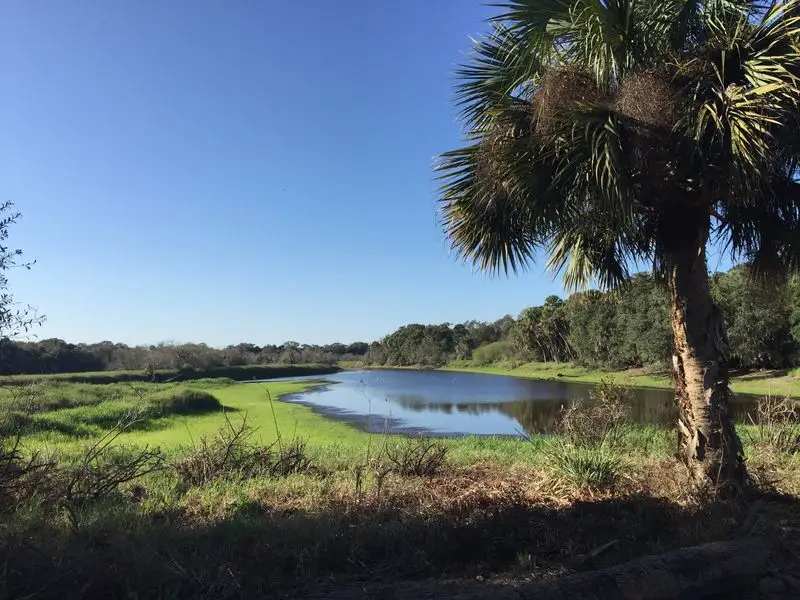 Myakka River State Park (Sarasota area)