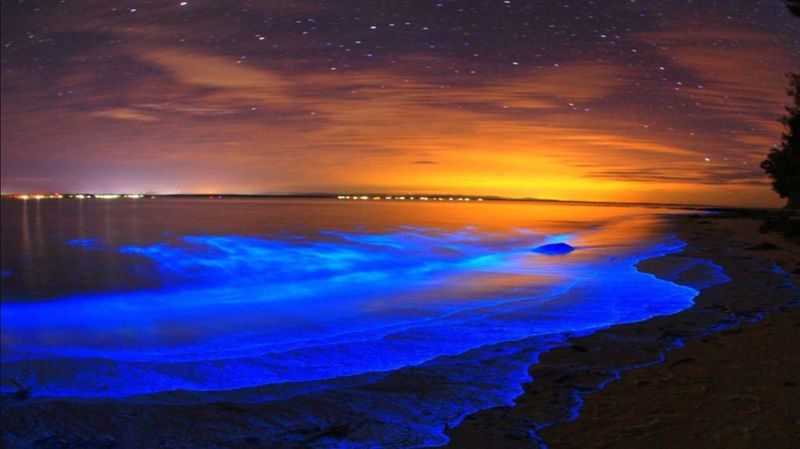 Isla Holbox, Mexico