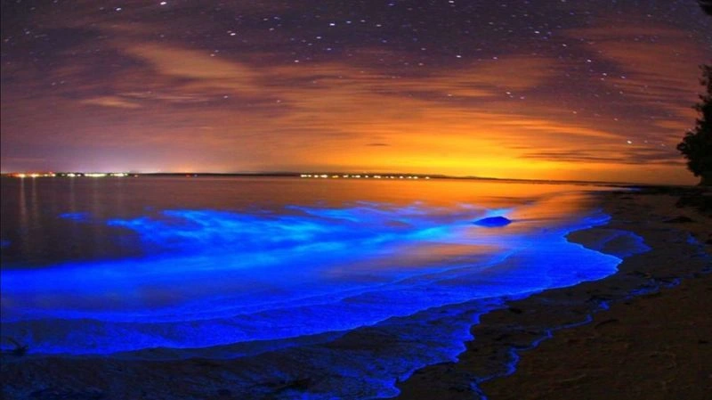 Isla Holbox, Mexico