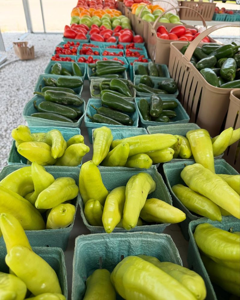 Elkins Farmers Market