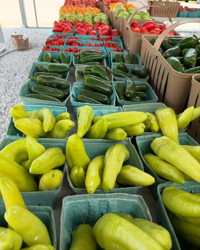 Elkins Farmers Market