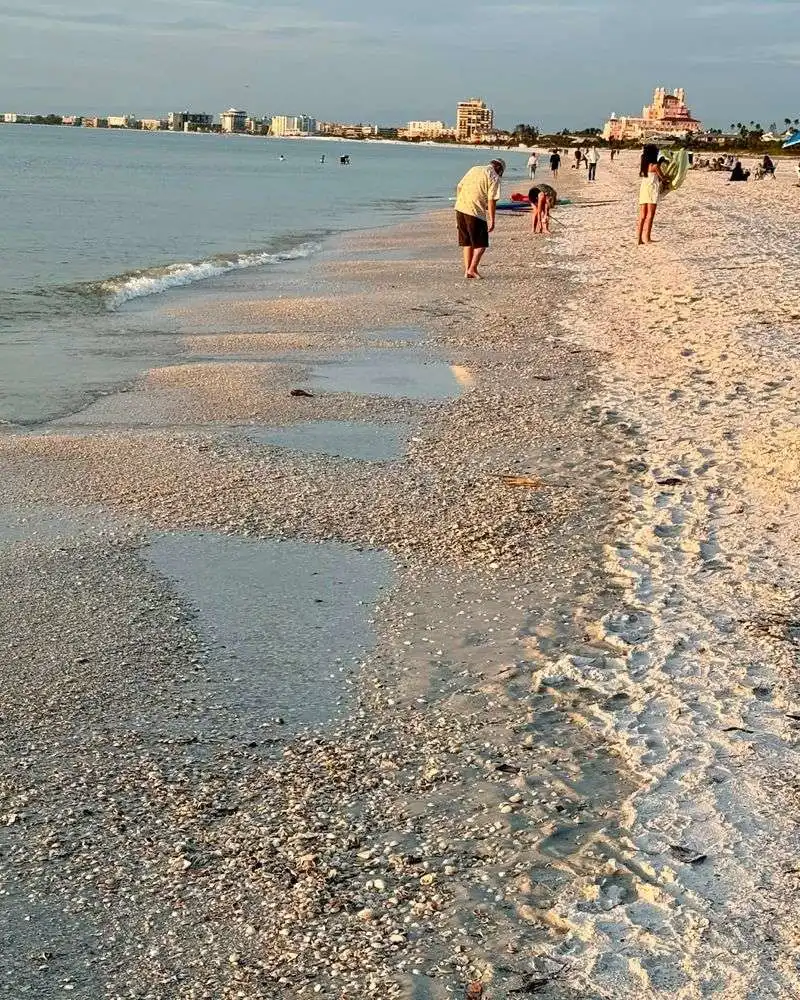 Pass-a-Grille Beach
