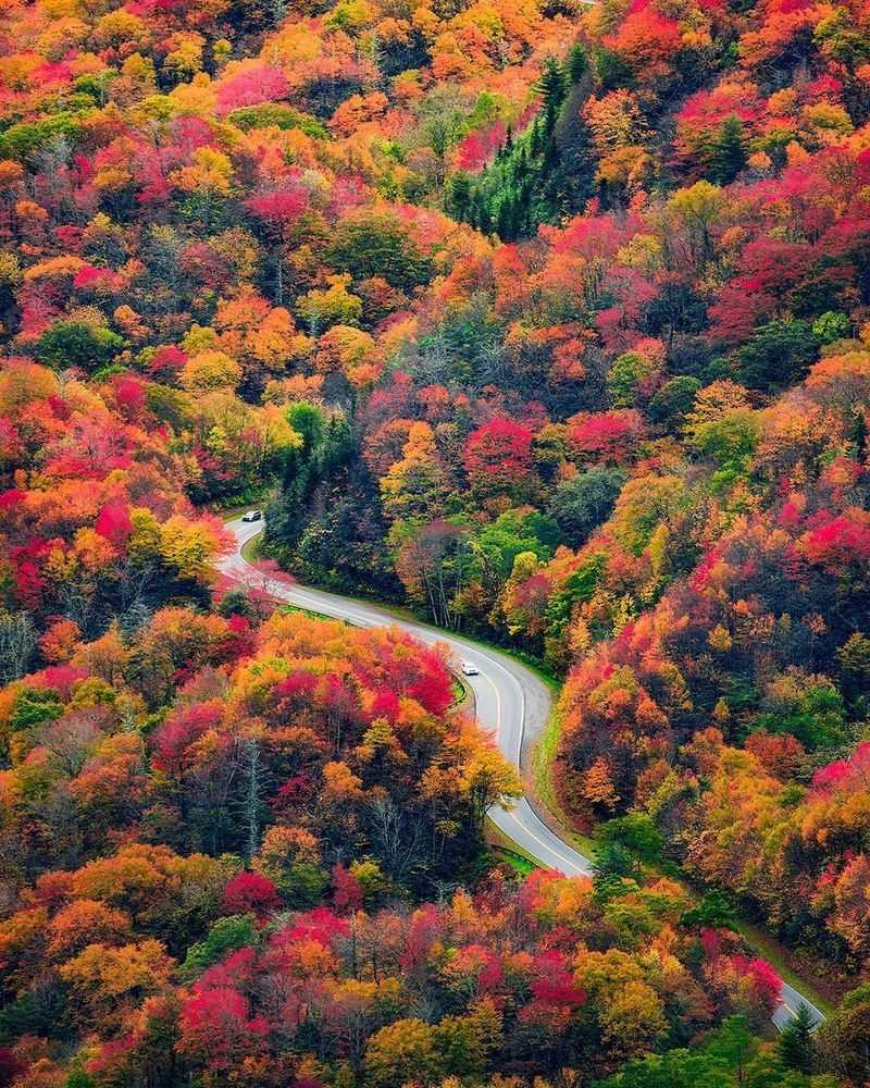 Great Smoky Mountains National Park