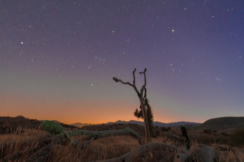 Joshua Tree National Park, California