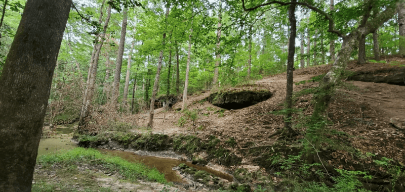 Leesville