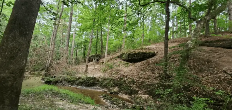 Leesville