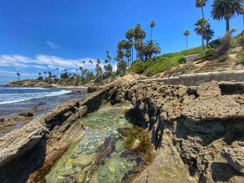 Tide Pools to Explore