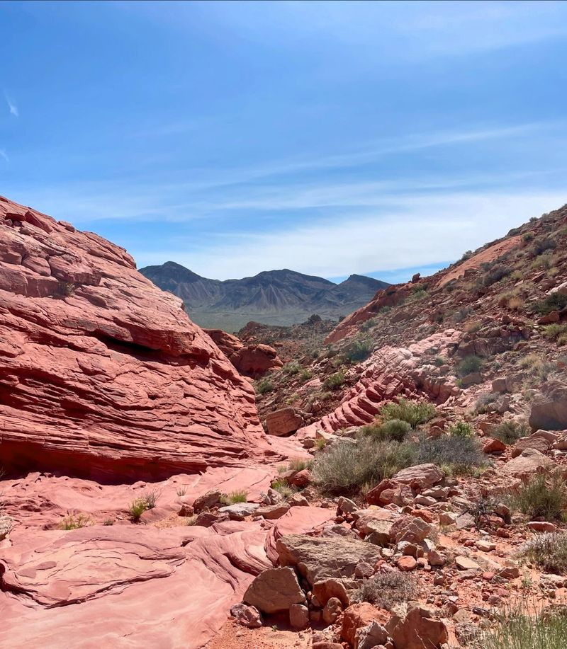Hiking Trails with Stunning Views