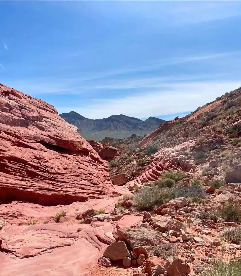 Hiking Trails with Stunning Views