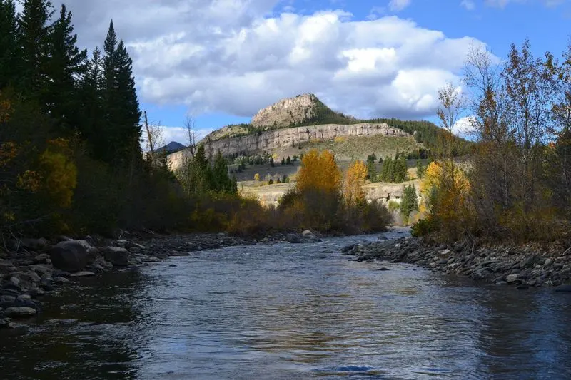 Subalpine Forests of Fir and Spruce