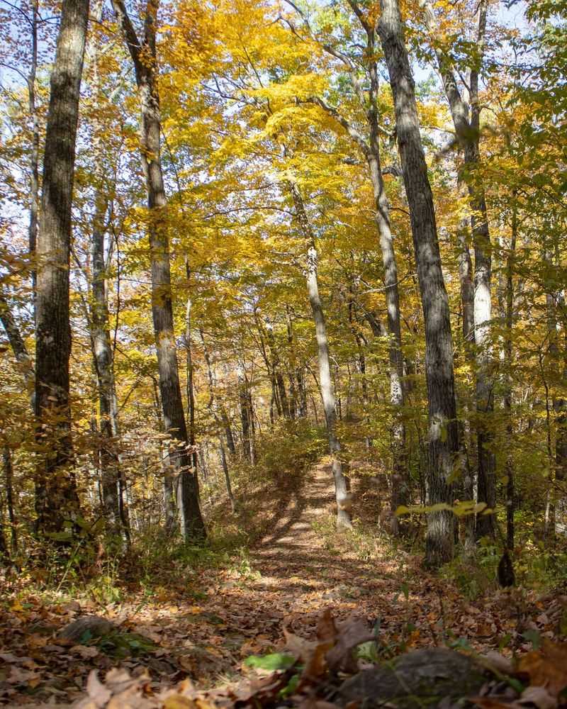 Scenic Biking and Hiking Trails