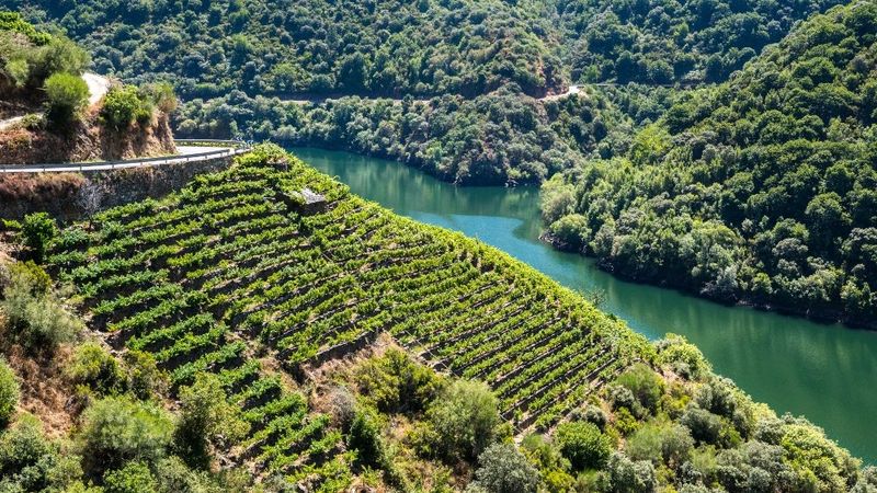 Ribeira Sacra, Galicia, Spain