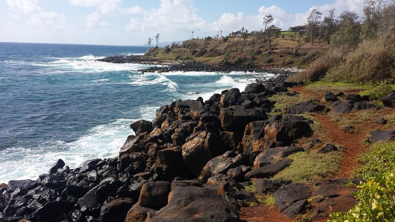 Visit Kauai’s Mini Zoo at Kilauea Point