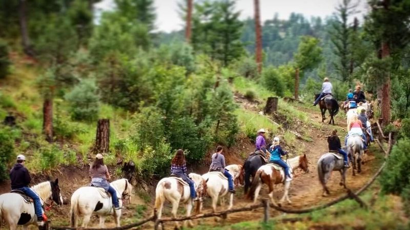 Go horseback riding