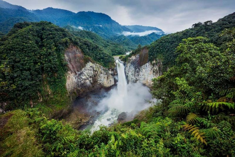 Brazil: The Lungs of the Earth