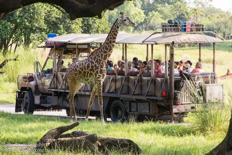 Kilimanjaro Safaris