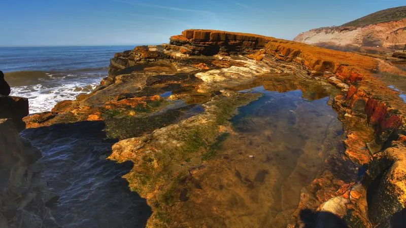 Cabrillo National Monument & Tidepools