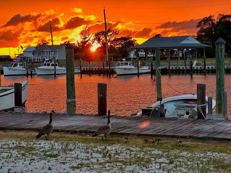 Saxis, Virginia – A Town That Just Keeps Fishing