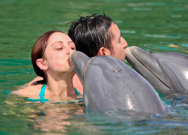 Unexso Dolphin Experience