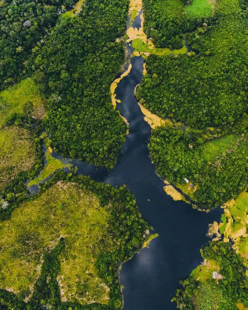 The Amazon Rainforest, Brazil or Peru