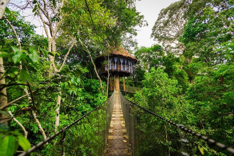 Treehouse Lodge at Amazon