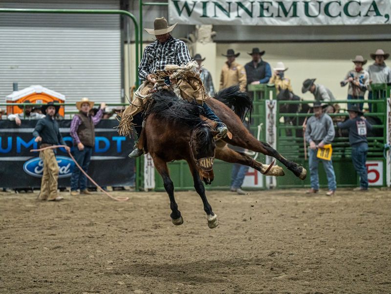 Rodeos and Real Cowboy Culture
