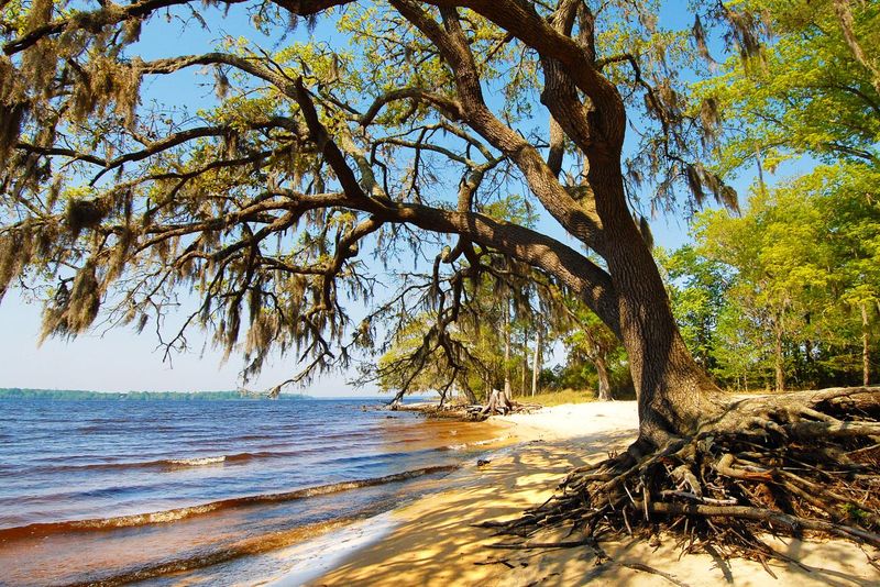 Goose Creek State Park