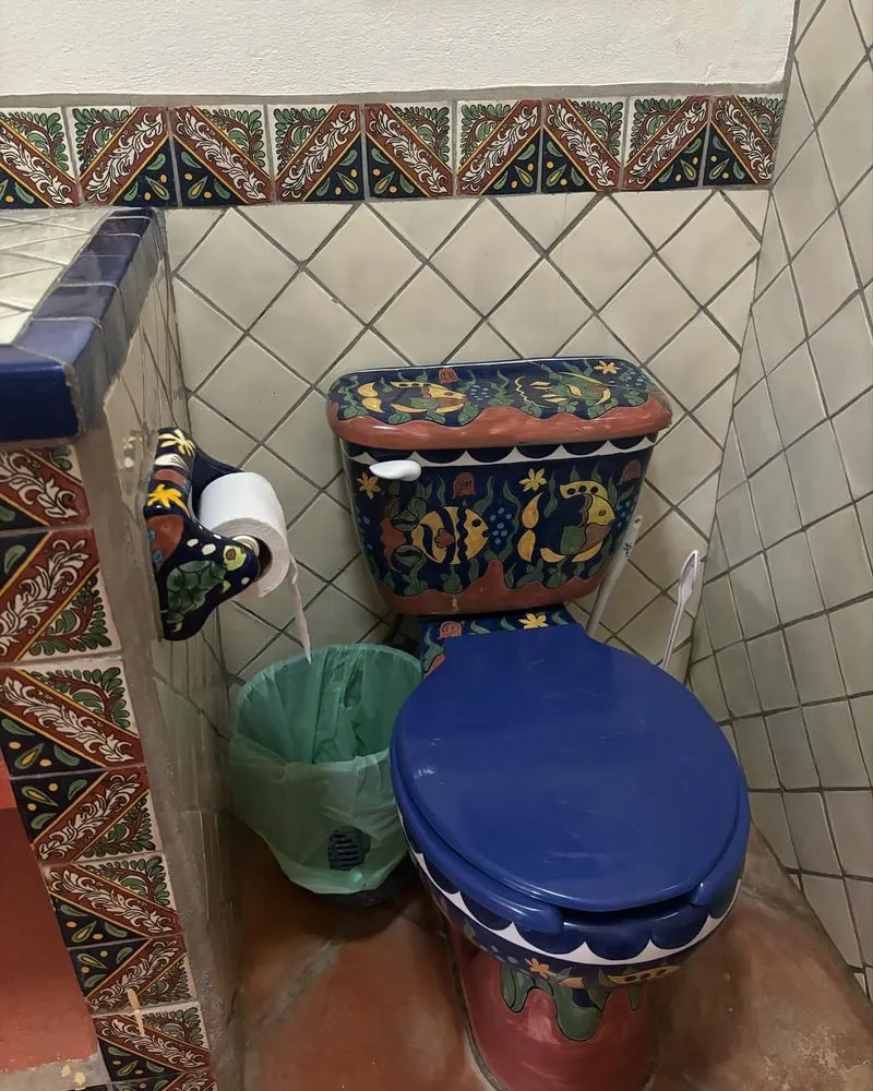 Don’t Flush Toilet Paper