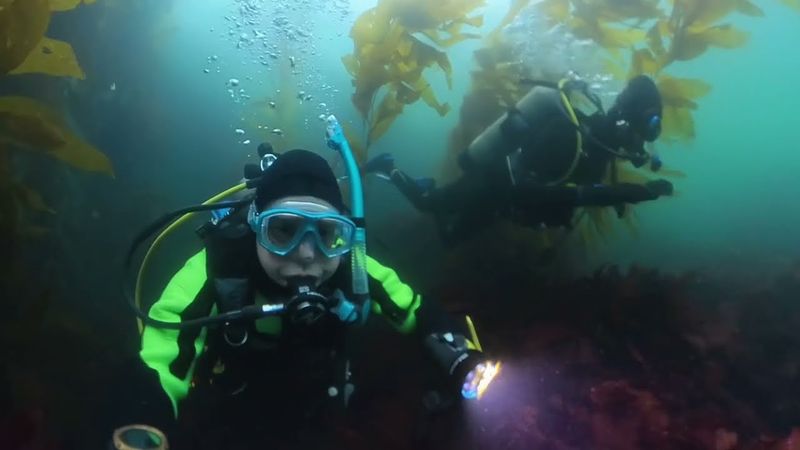 Scuba Diving at McAbee Beach