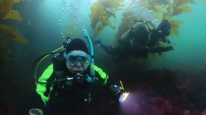 Scuba Diving at McAbee Beach