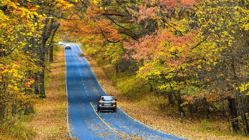 Skyline Drive, Shenandoah National Park