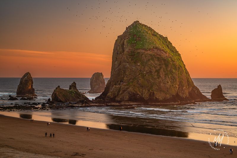 Oregon Coast & Cannon Beach