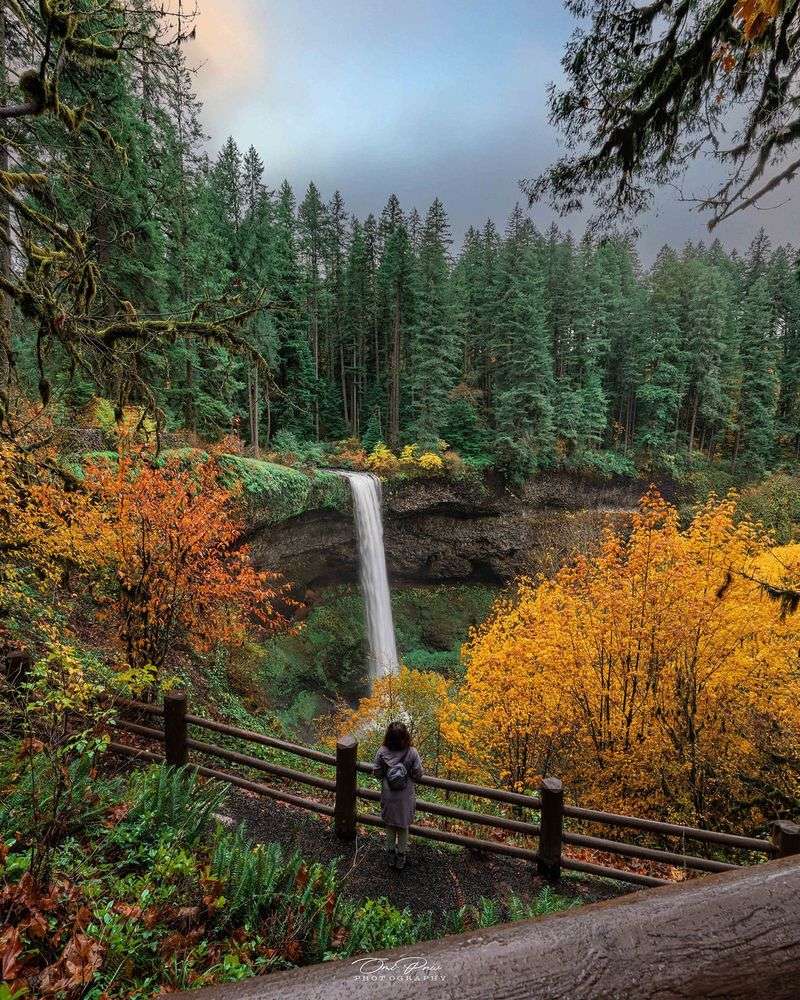 Silver Falls State Park