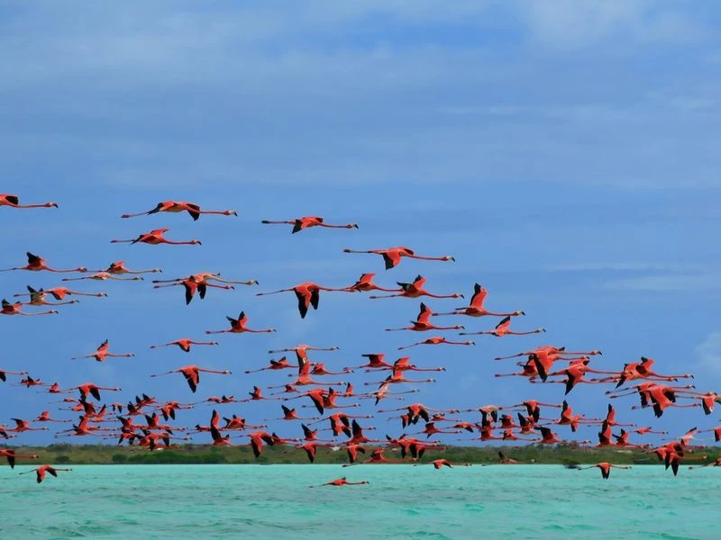Anegada, British Virgin Islands