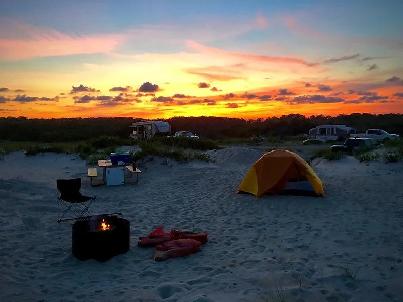 Assateague Island, MD