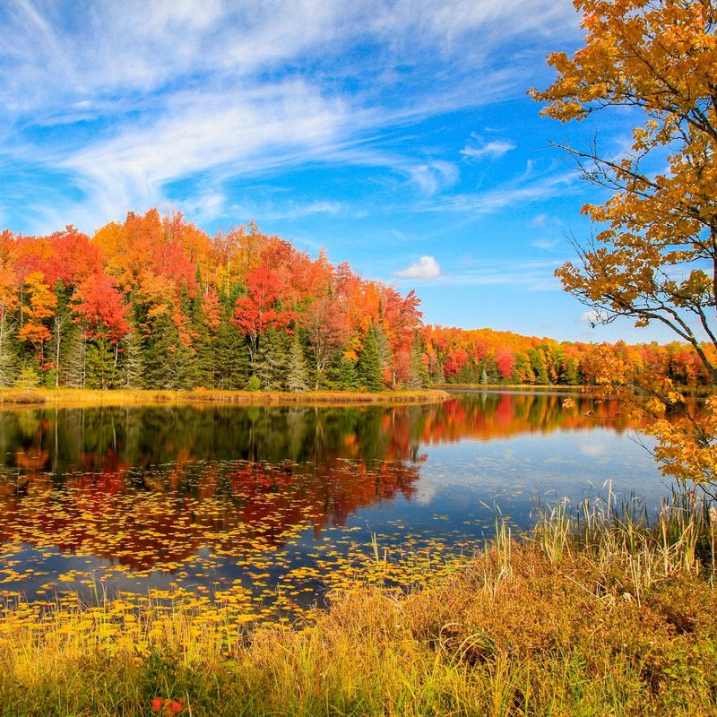 A Town That’s Easy to Miss — But Worth the Exit