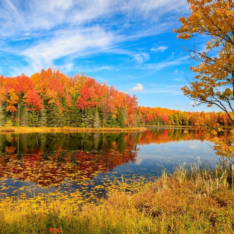 A Town That’s Easy to Miss — But Worth the Exit