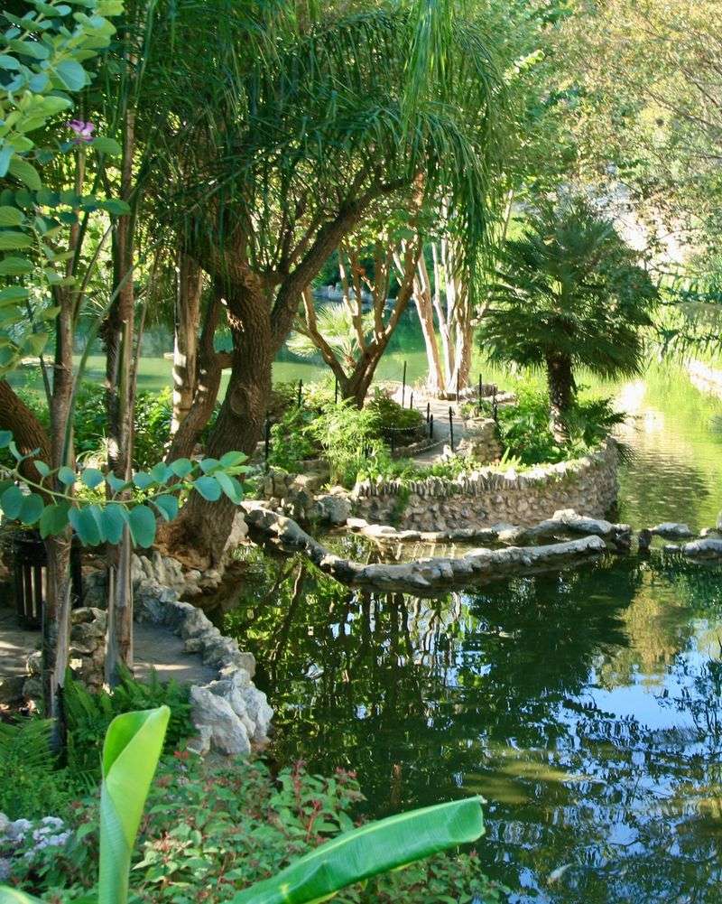 The Butterfly Garden Isn’t Official—But It Happens Anyway
