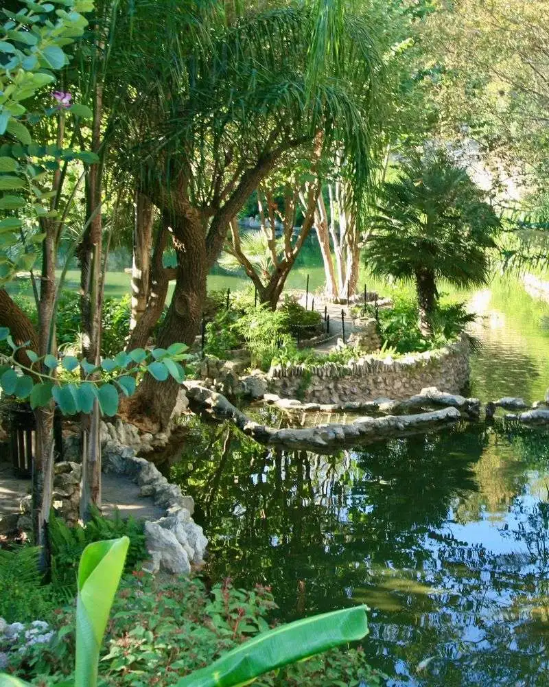 The Butterfly Garden Isn’t Official—But It Happens Anyway