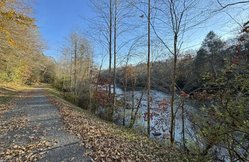 Meadow River (Middle to Lower Sections)