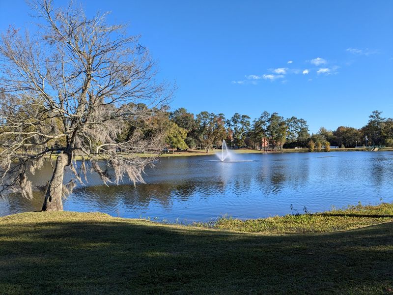 Cherokee Lake, Tennessee – Lakeside Meadows and Woodland Edges